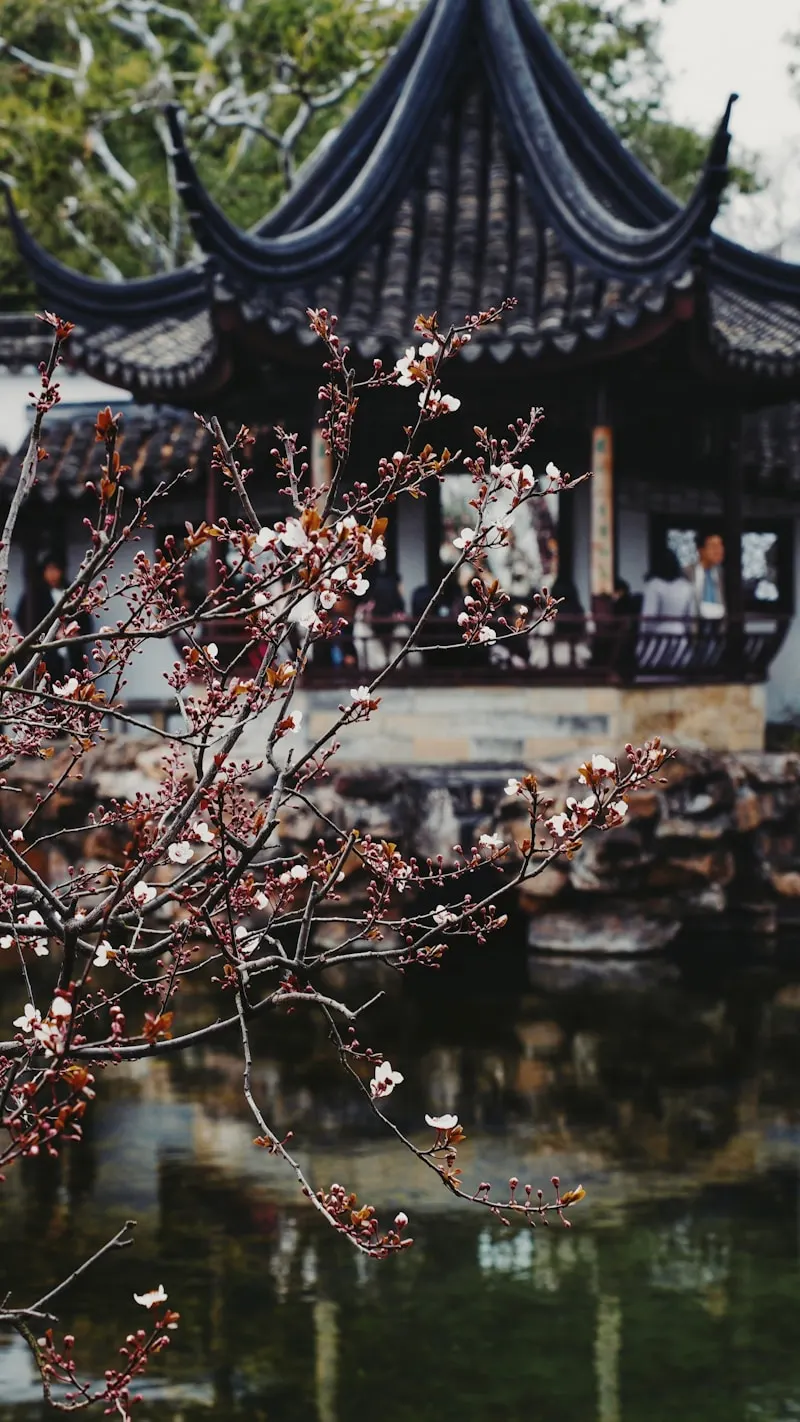 Yunnan Provincial Museum