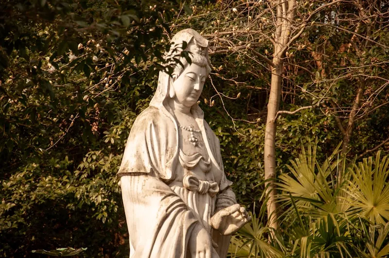 Zhongshan Botanical Garden