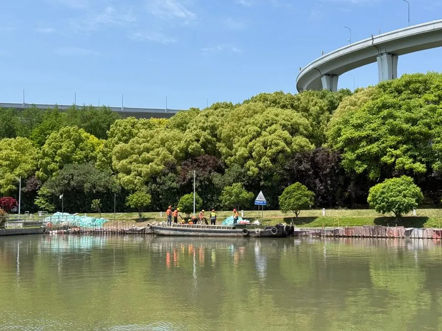 Chongming Island