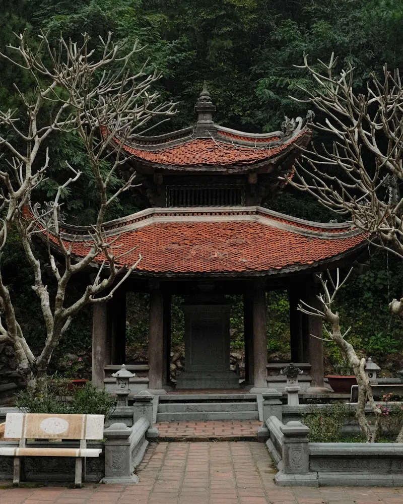 Pagoda Forest