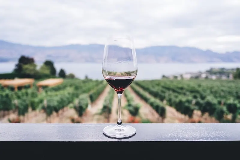 Zhangyu Wine Culture Museum