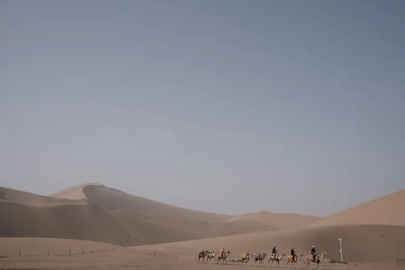 Mingsha Sand Dune Activities