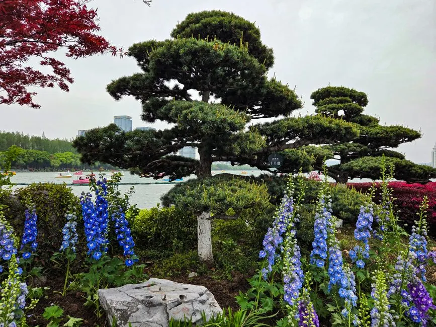 Yuecheng Lake