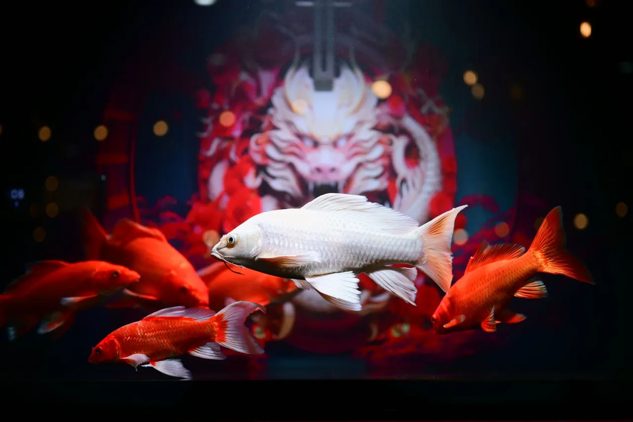 阳朔大师傅啤酒鱼