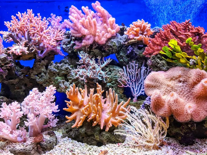 Weihai Ocean Park