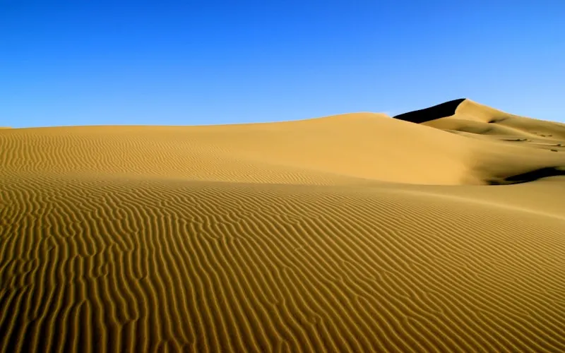 Gobi Desert Adventure