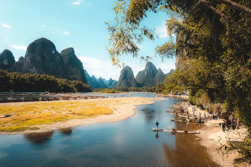 Xiang River Bamboo Grove