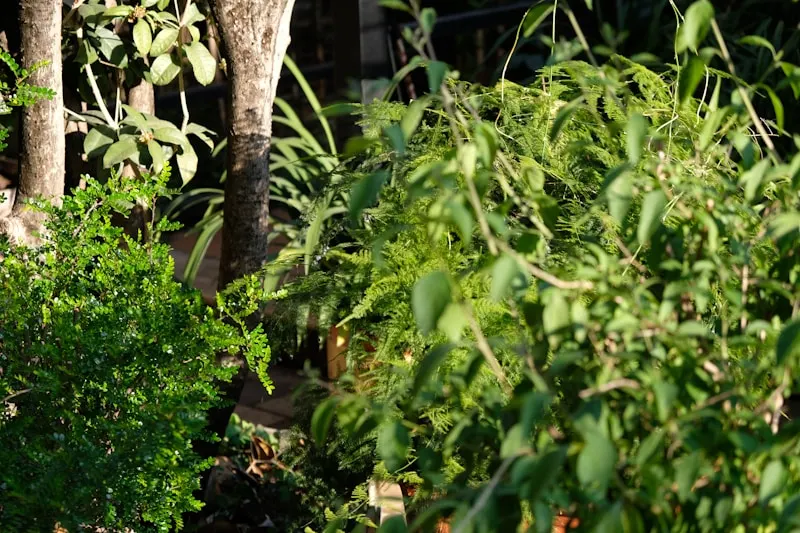 Meilian Ecological Garden