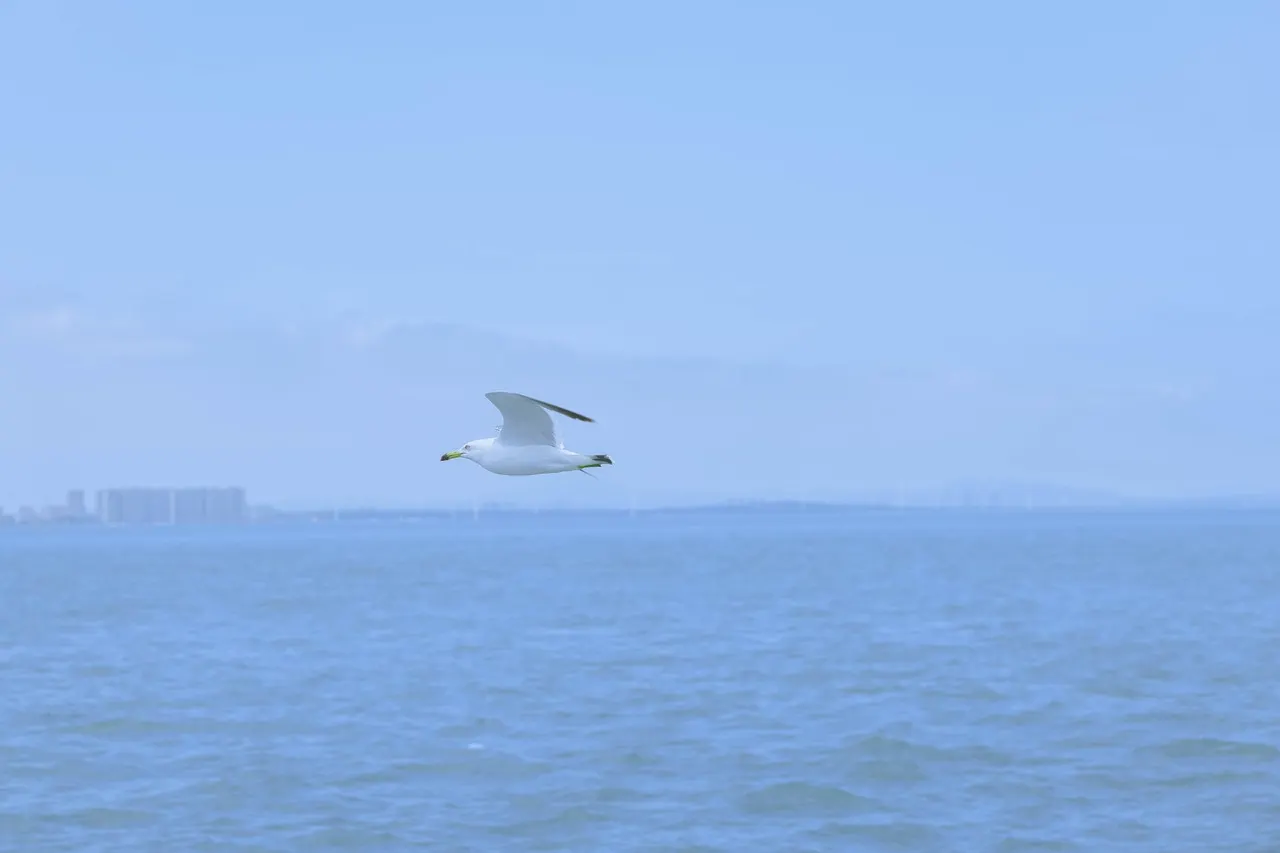 鸡汤馆