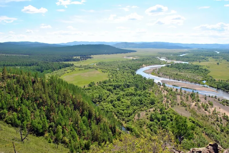 Yichun Forest
