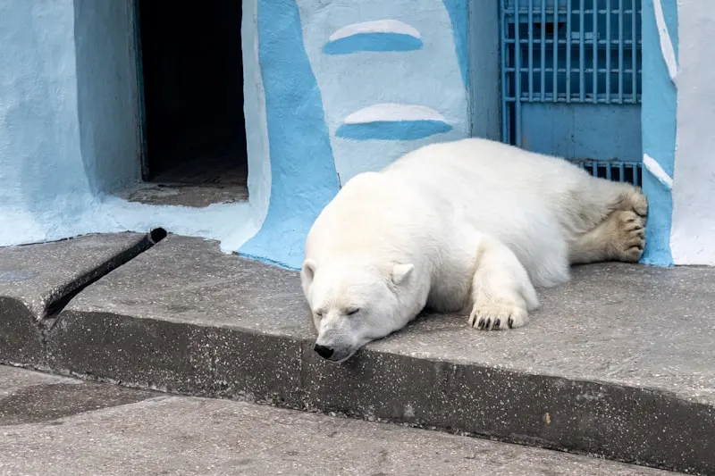 Harbin Northern Forest Zoo