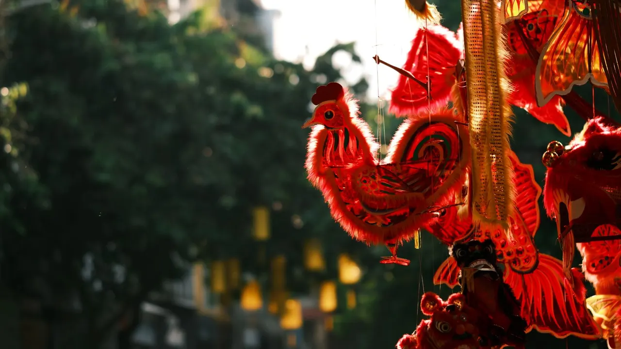 老三亚文昌鸡