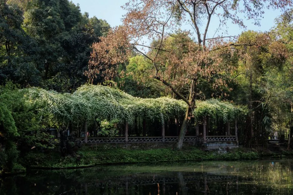 Du Fu's Thatched Cottage