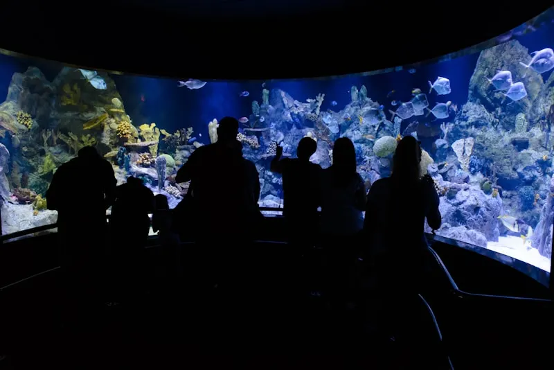 Fuzhou Underwater World