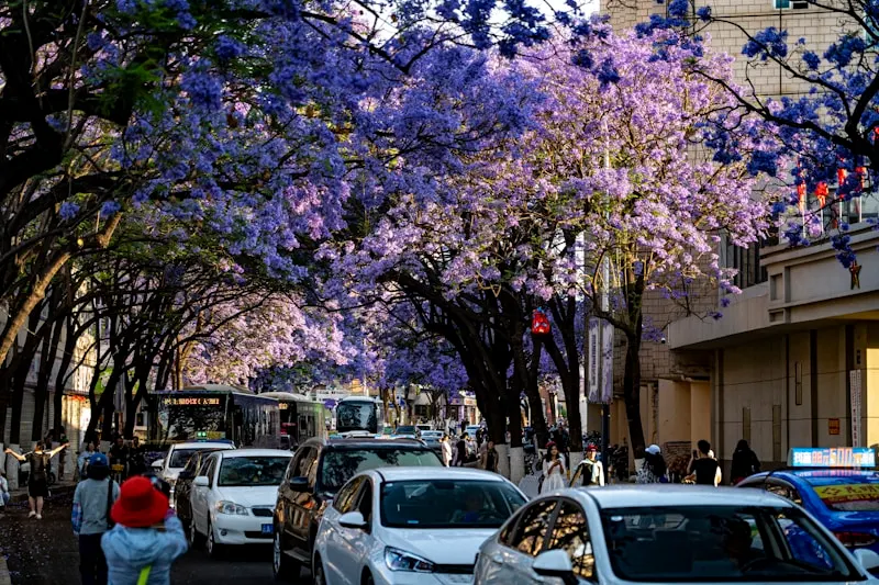 Tongren Street