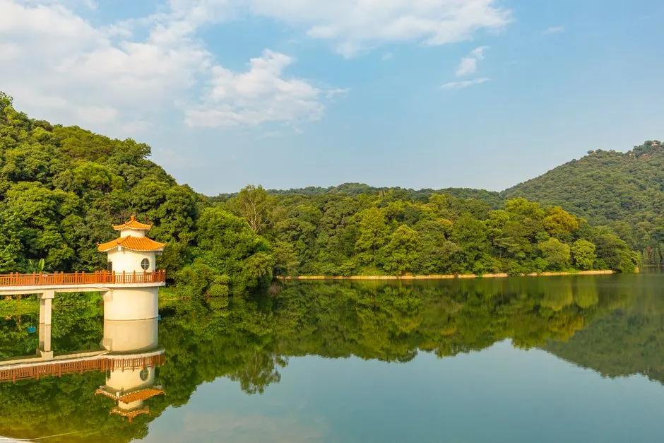 Dafu Mountain Forest Park