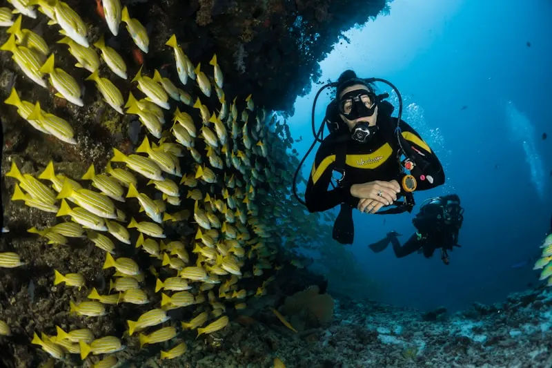 Qingdao Underwater World