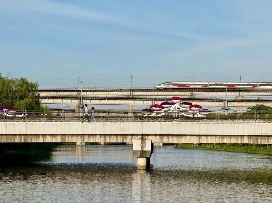Maglev Train Experience