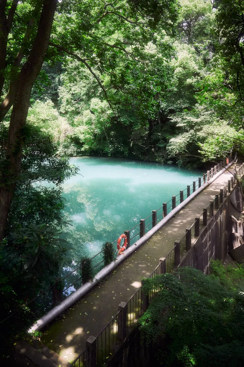 Nine Creeks
