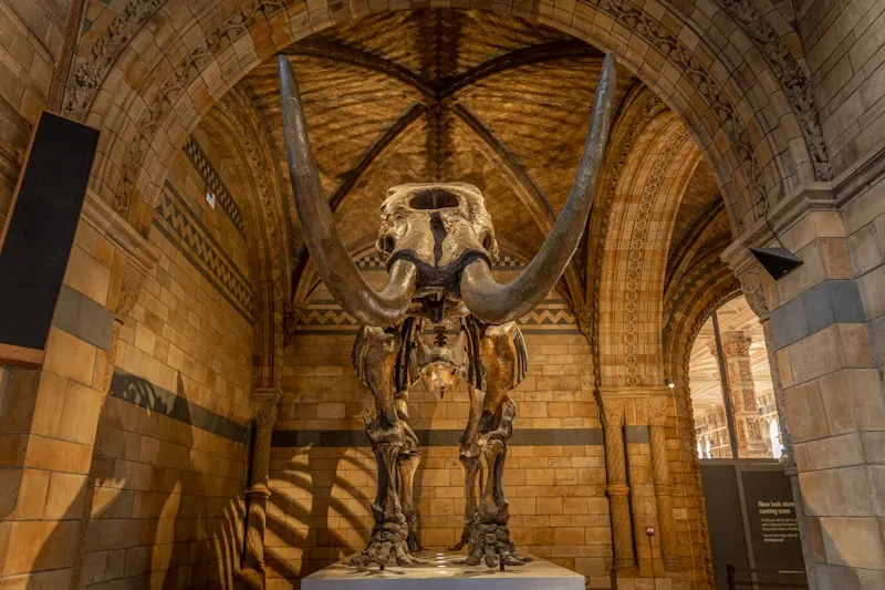 Dalian Natural History Museum