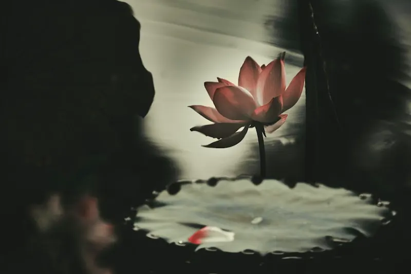 Lotus in the Breeze at Quyuan Garden